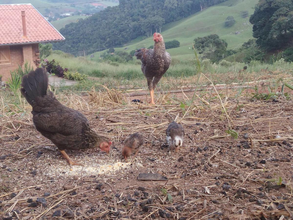 Reobote Chalés São Bento do Sapucaí Esterno foto