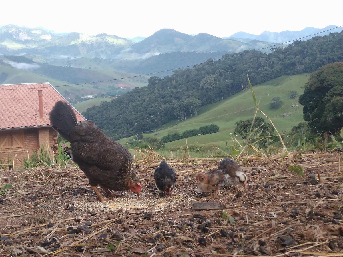 Reobote Chalés São Bento do Sapucaí Esterno foto